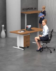 Ergonomic Desk-Highmoon Office Furniture