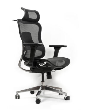 Max ergonomic chair