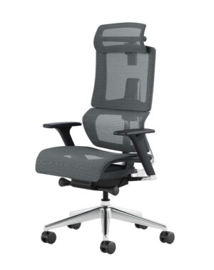 Buy Ergonomic Chairs