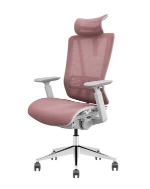 VAT 30 Ergonomic Chair
