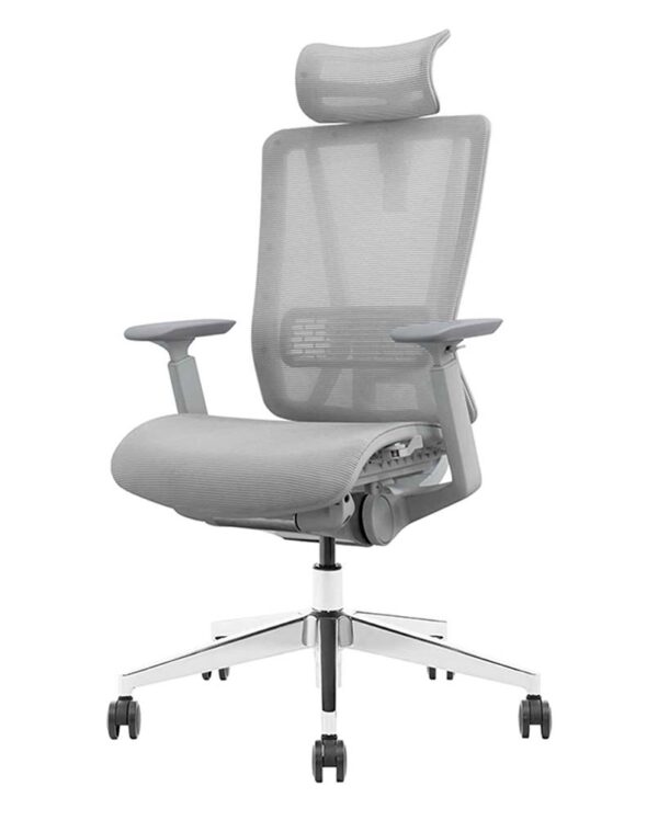 VAT 31 Ergonomic Chair