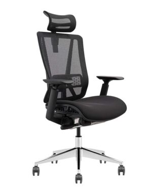 VAT 33 Ergonomic Chair