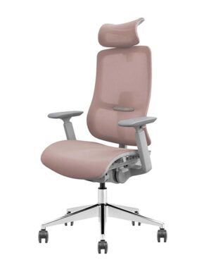 VAT 34 Ergonomic Chair