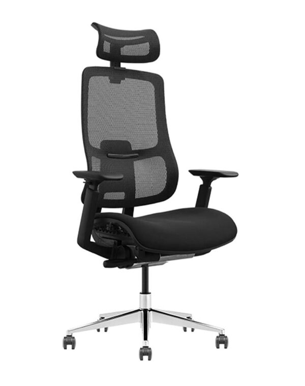 VAT 37 Ergonomic Chair