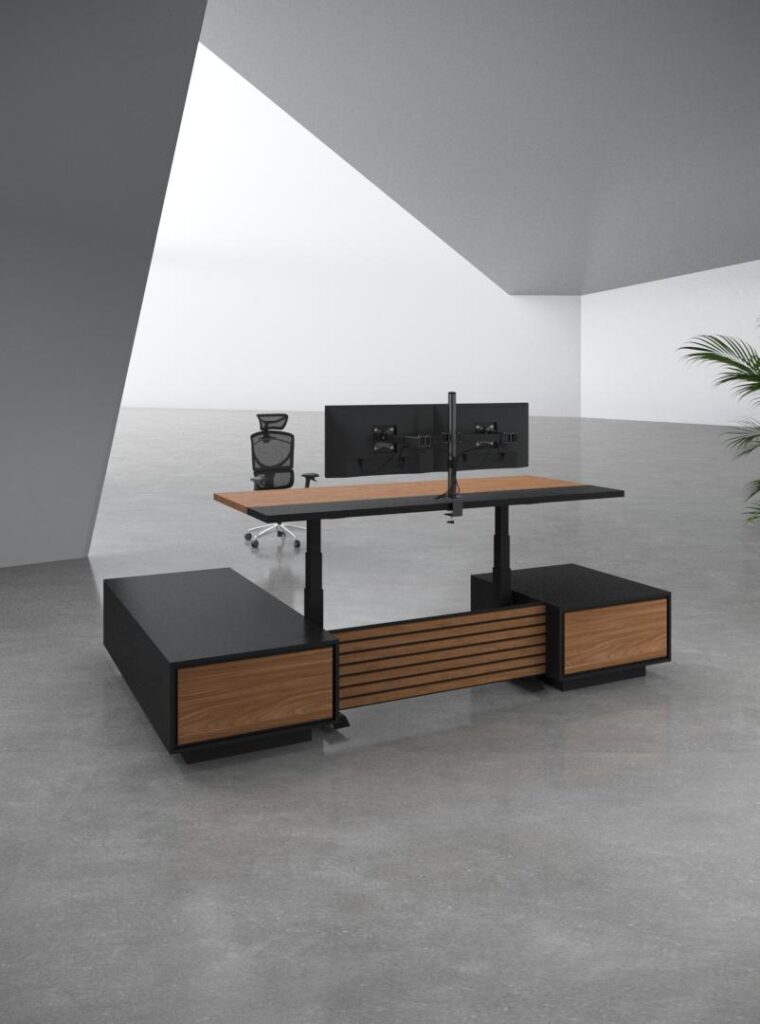 Sit Stand Desks